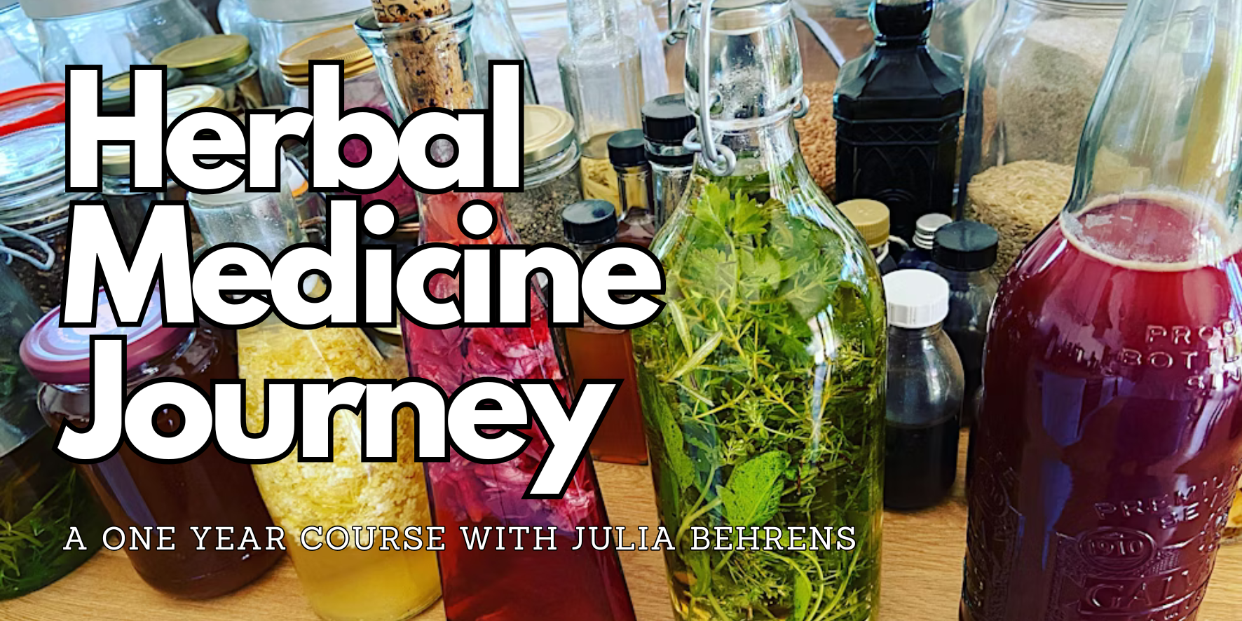 Herbal Medicine Journey  - One Year course with Julia Behrens